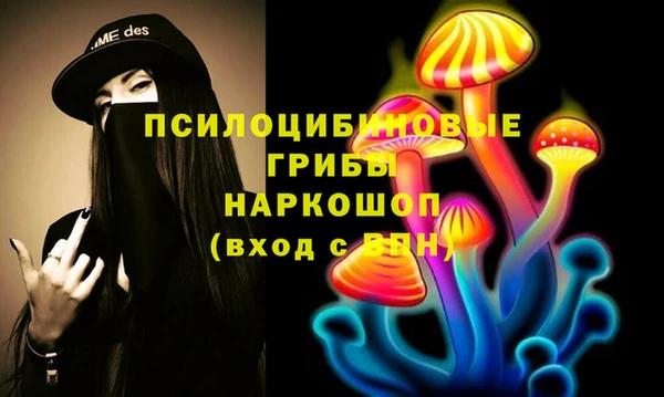 дживик Абинск
