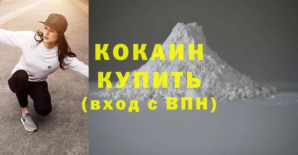 дживик Абинск